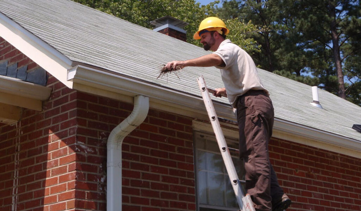 Local Gutter Cleaning Services