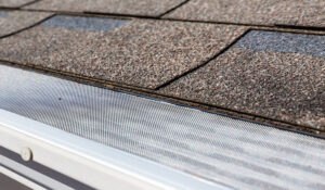 Gutter Protection Company Near Me | Gutter Guard