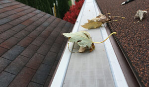 gutter guard and gutter protection