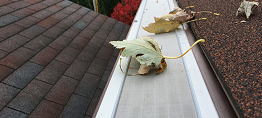 gutter guard and gutter protection