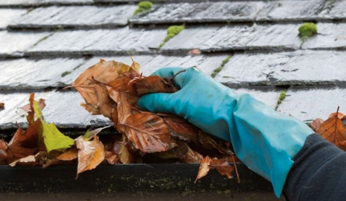 Gutter Cleaning: a hand wearing a rubber glove cleaning the gutter