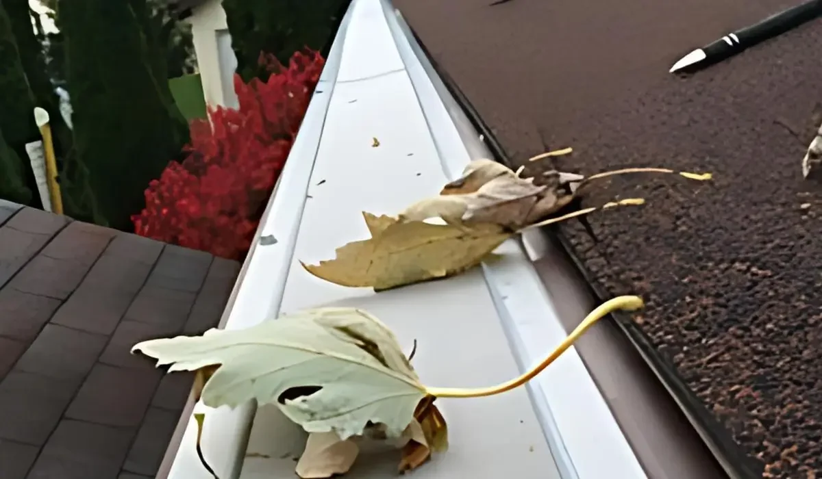 Close-up view of a roof with leaf guards preventing leaves and debris from clogging the gutter system.